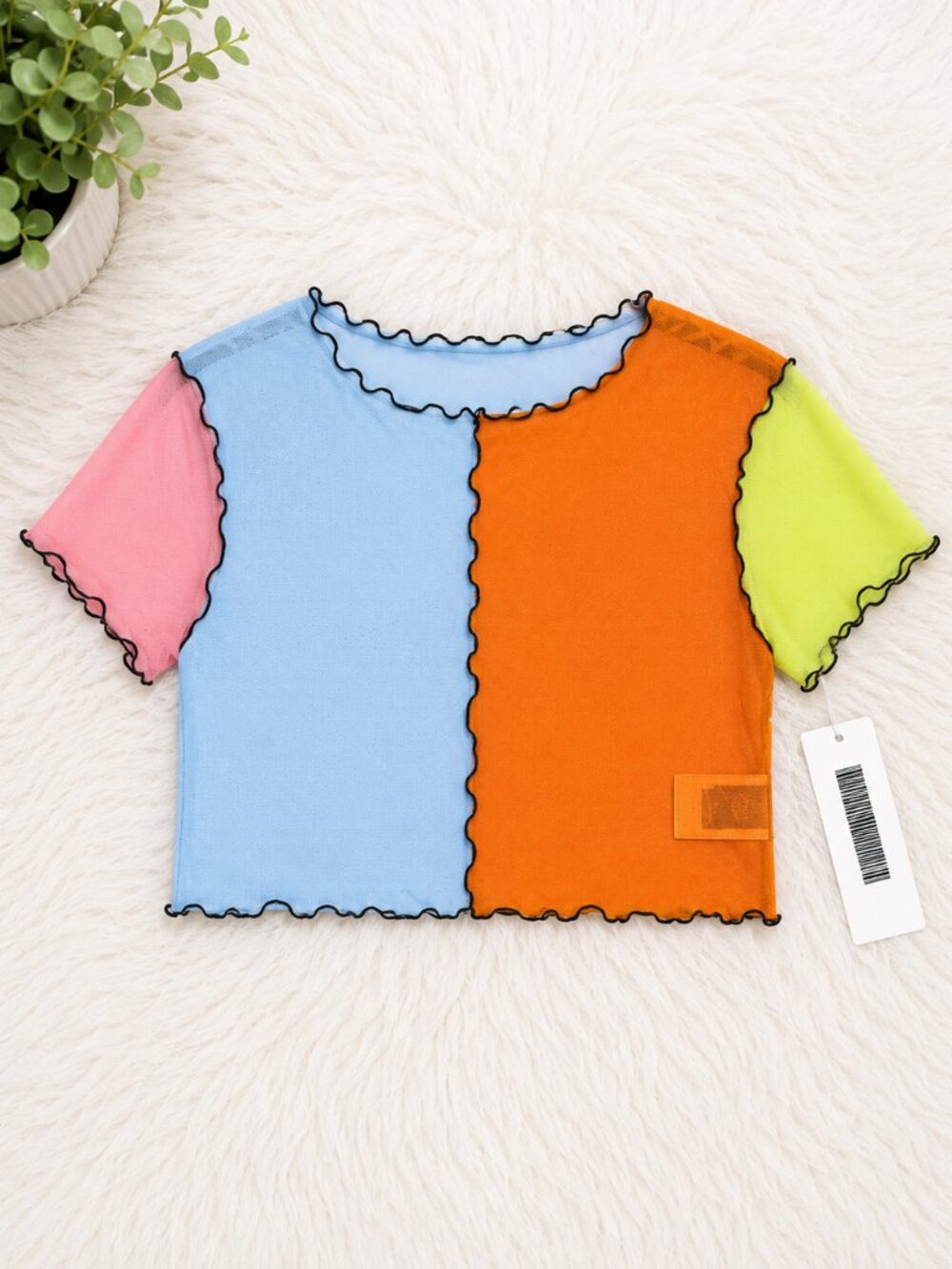 NWT Colorblock Sheer Mesh Crop Top | Pink Blue Orange Neon Green | Size 2XL